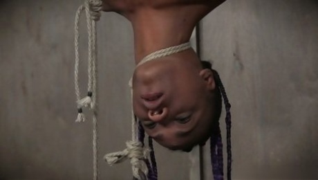 Horny master hangs this chick upside down for some pussy toying