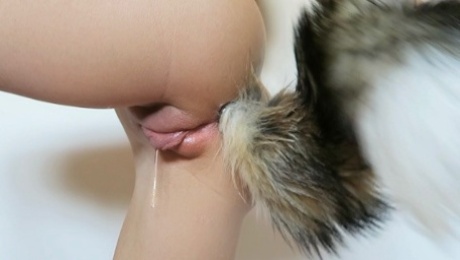 Watch Me Get Dripping Wet Fucking My Ass With Tail Buttplug